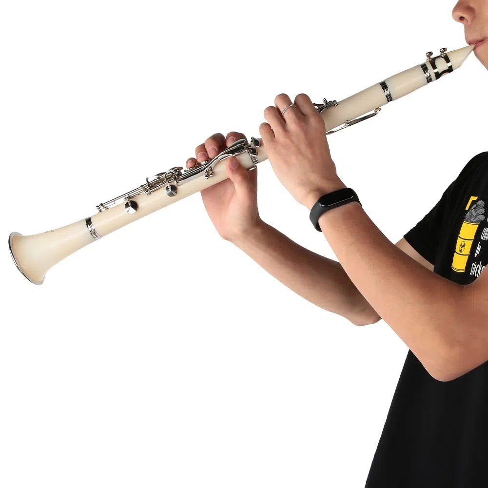 Juego de clarinete de 17 teclas, clarinete profesional de baquelita con botón de chapado, para estudiantes y principiantes, color