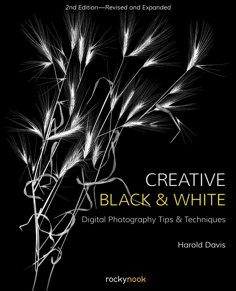 Creative Black and White: Digital Photography Tips & Techniques