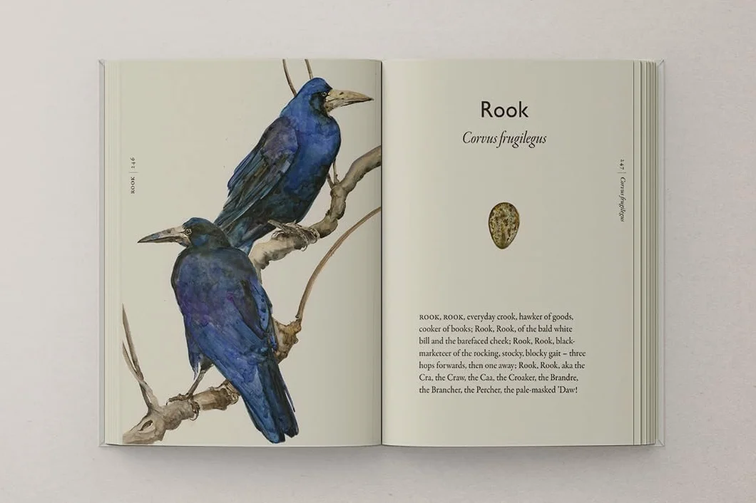 The Book of Birds: The #1 Sunday Times bestseller from the authors of award-winning phenomenon The Lost Words