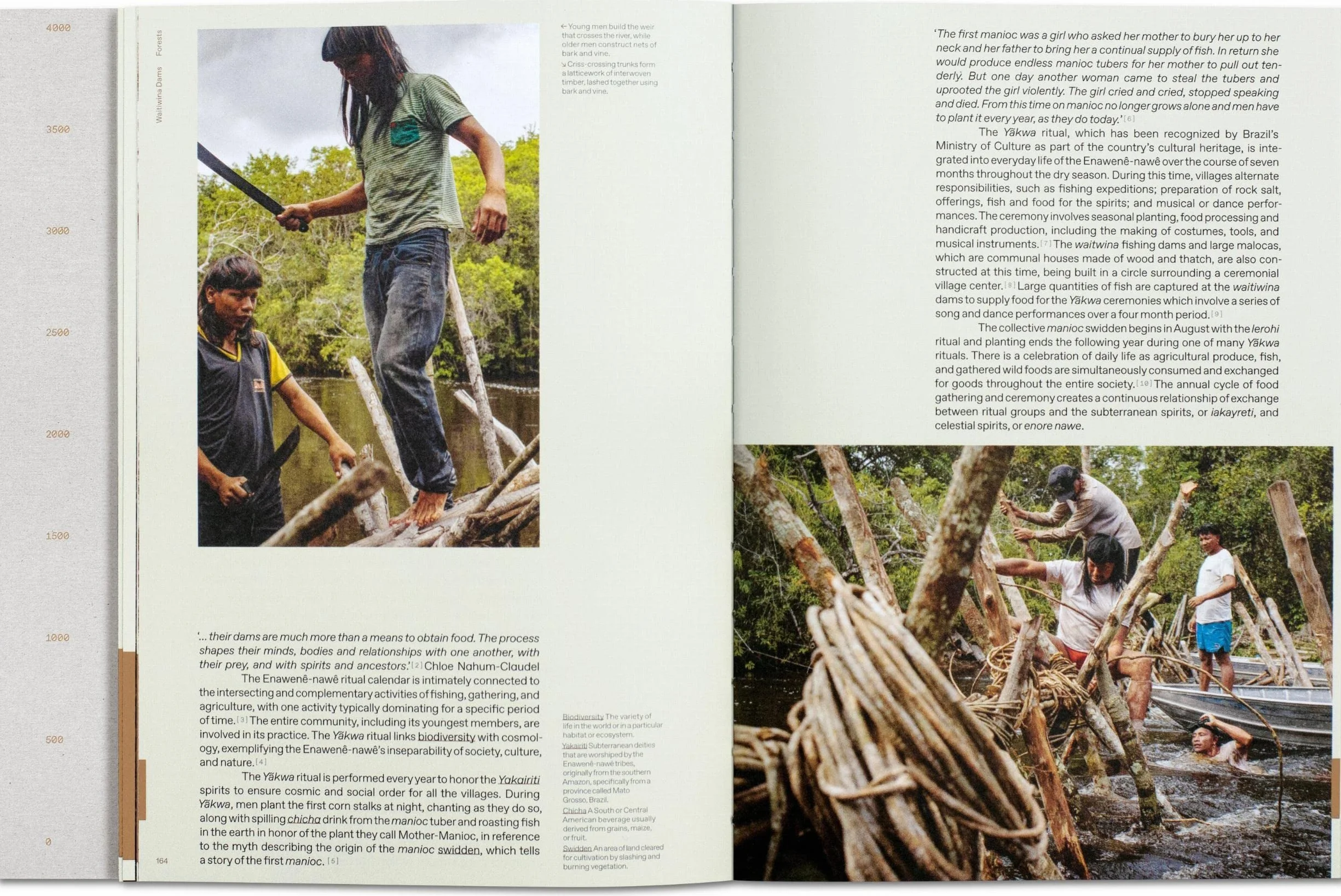 Julia Watson. Lo—Tek. Design By Radical Indigenism (Varia)