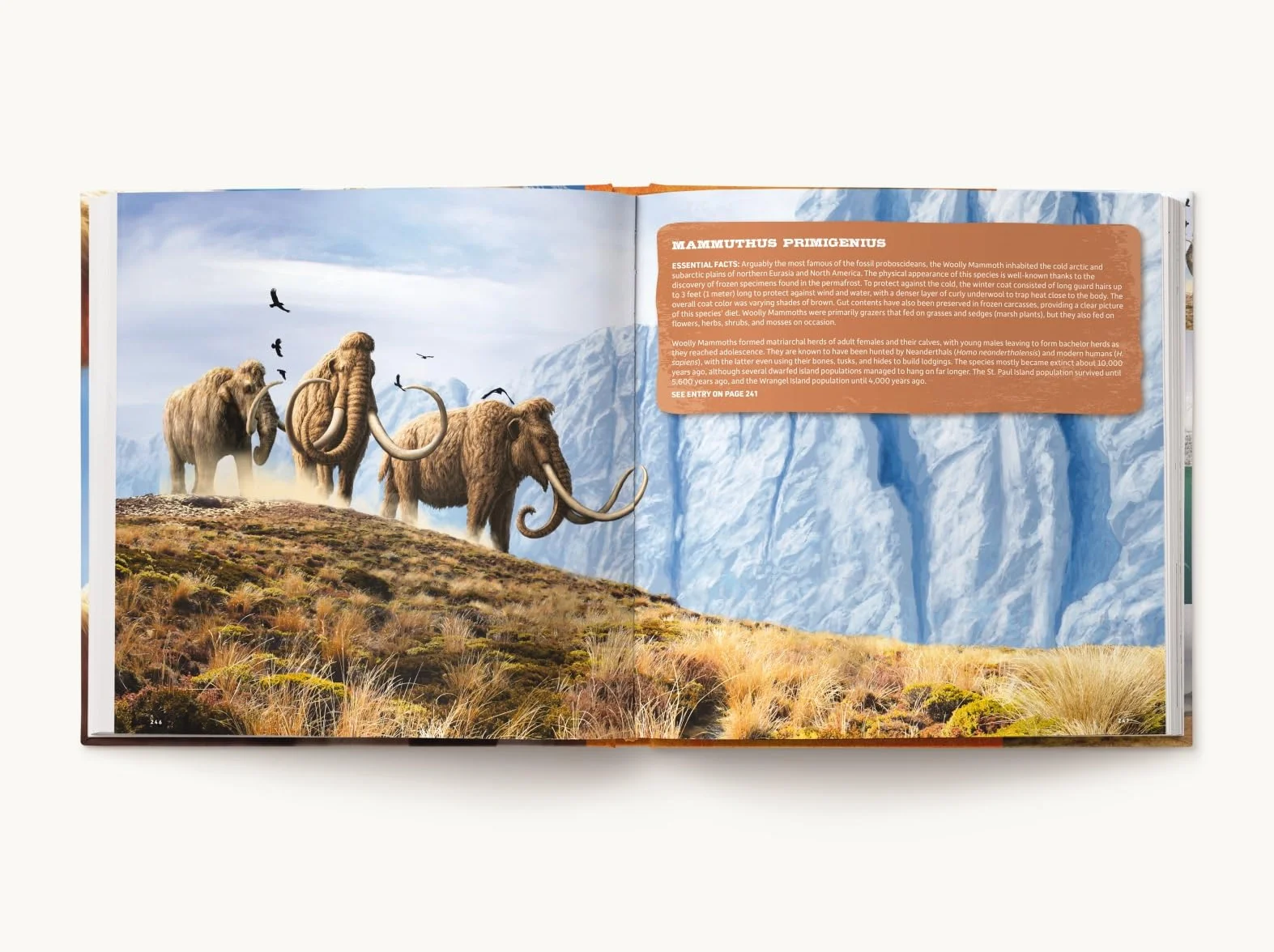 Prehistoric World: Over 1,200 Incredible Mammals and Discoveries from the Mesozoic and Cenozoic