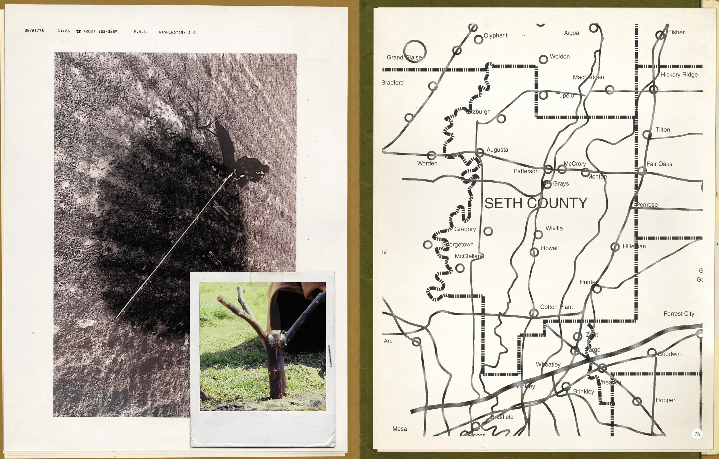 The X-files. The Official Archives. Cryptids Biol: Cryptids, Biological Anomalies, and Parapsychic Phenomena
