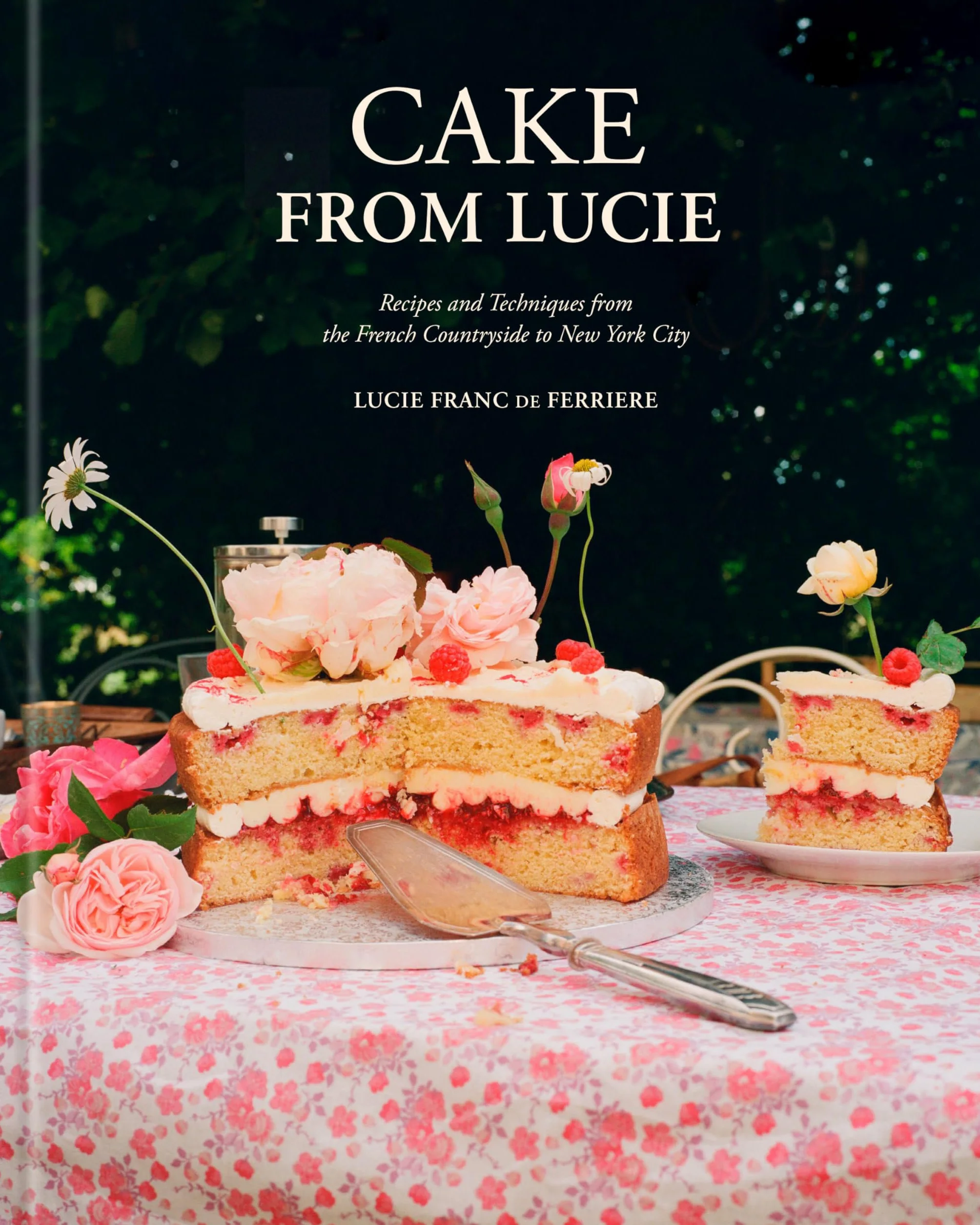 Cake From Lucie: Recipes and Techniques from the French Countryside to New York City: A Baking Book