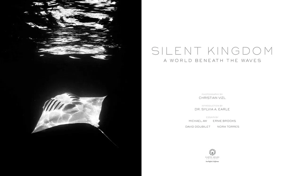 SILENT KINGDOM: A World Beneath the Waves