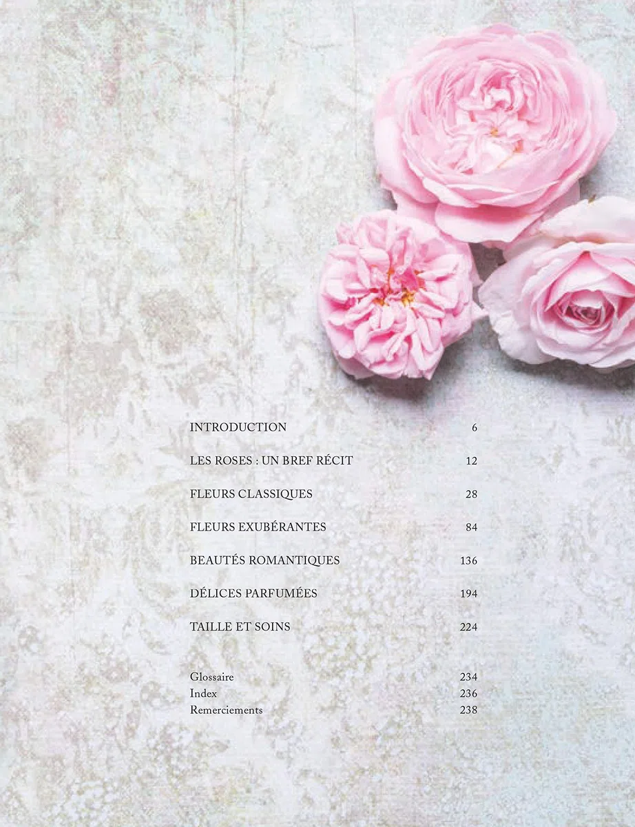 Roses vintage: Des roses anciennes aux roses nouvelles : une histoire illustrée