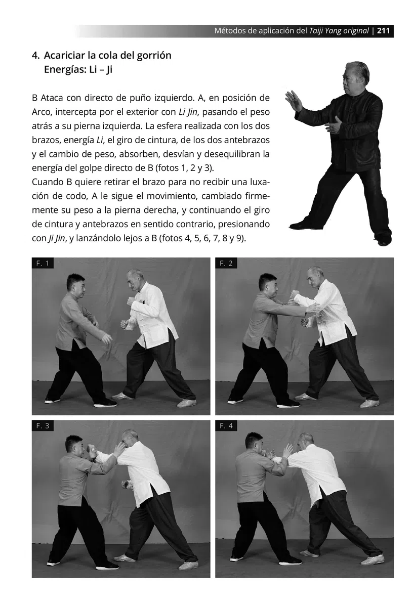 Métodos de aplicación del Taiji Yang original