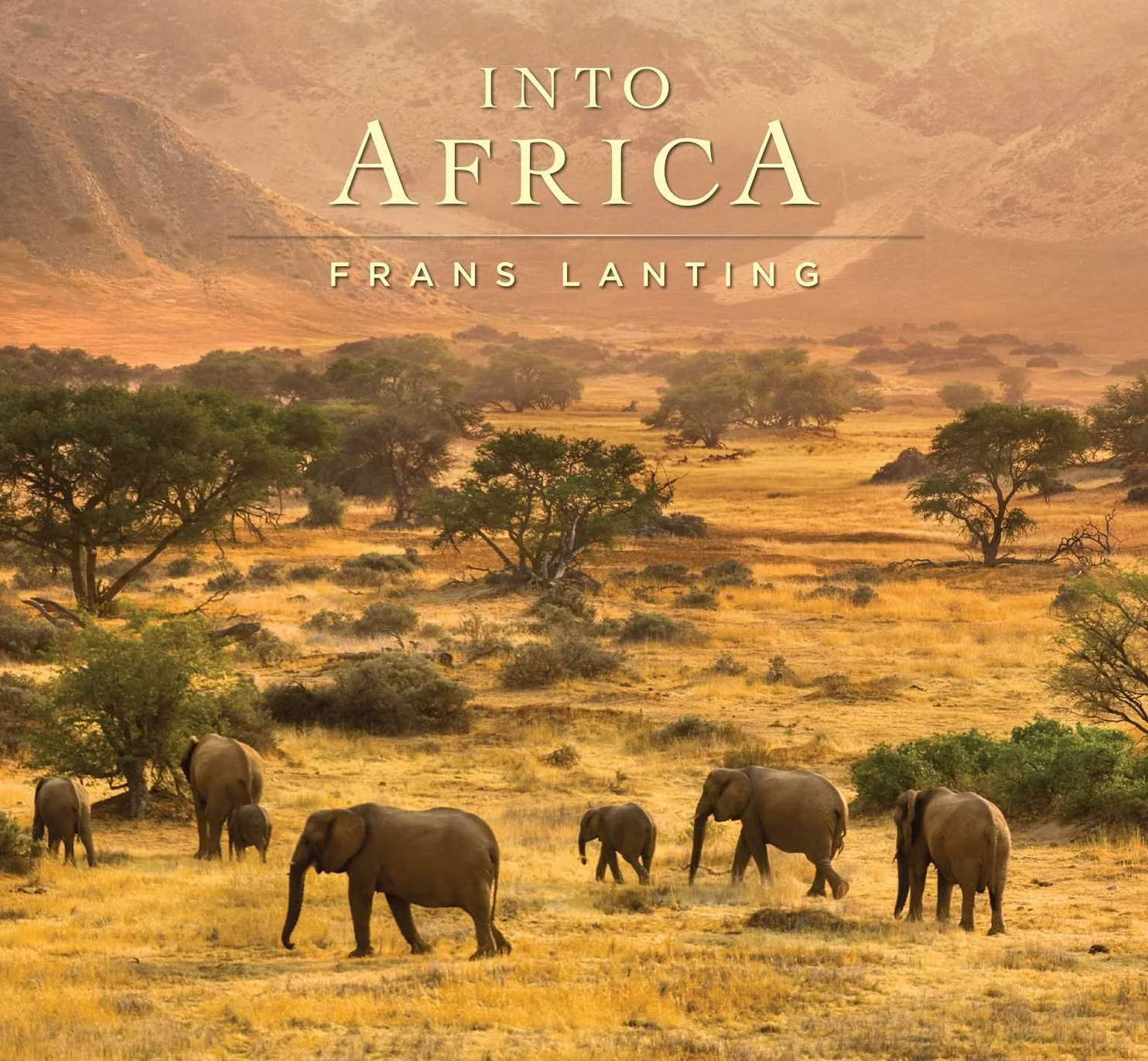 Into Africa [Idioma Inglés]