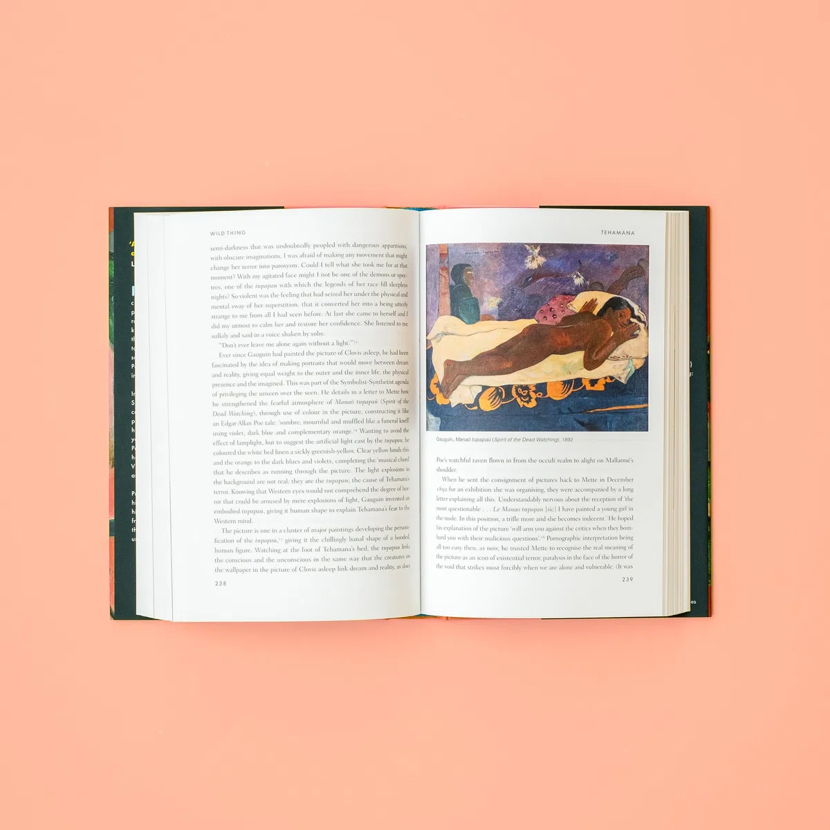 Wild Thing: A Life of Paul Gauguin (Faber & Faber)