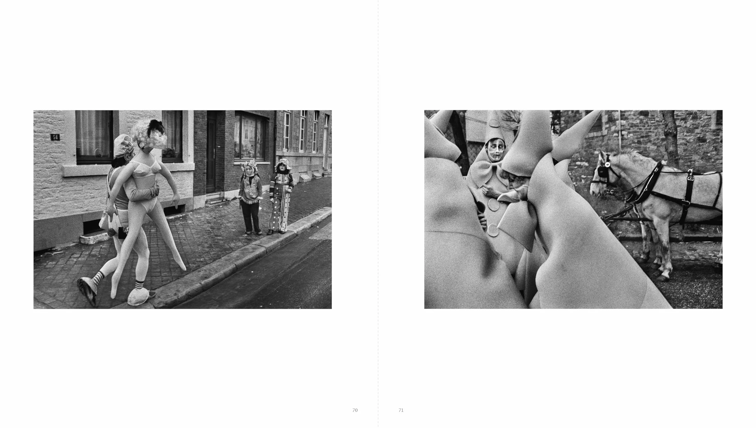 Harry Gruyaert: Homeland