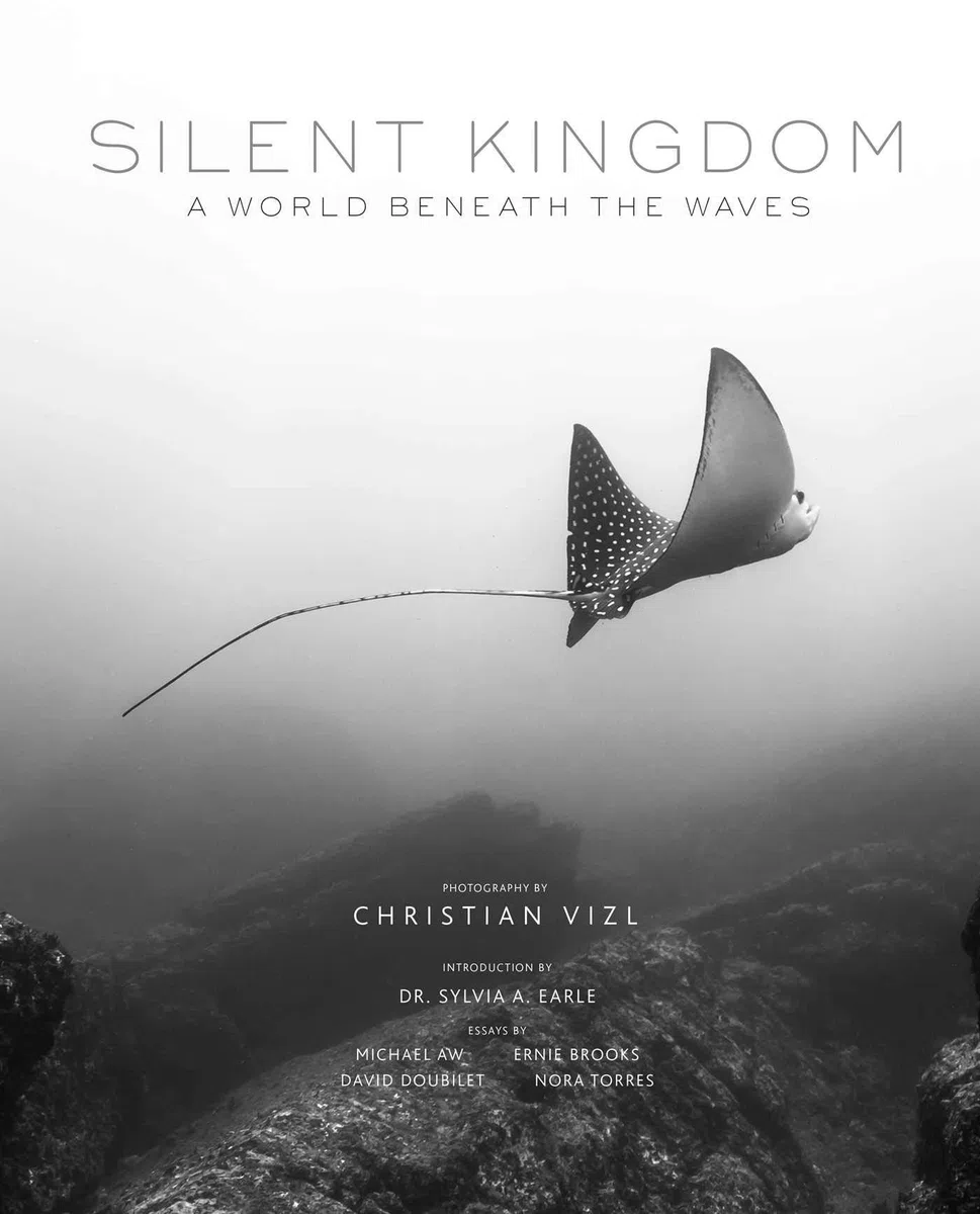 SILENT KINGDOM: A World Beneath the Waves
