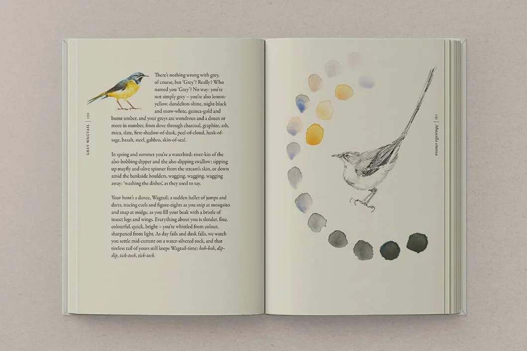 The Book of Birds: The #1 Sunday Times bestseller from the authors of award-winning phenomenon The Lost Words
