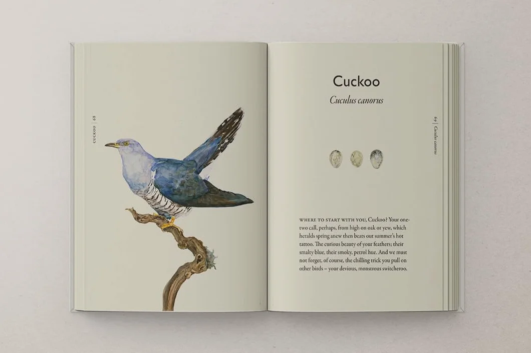 The Book of Birds: The #1 Sunday Times bestseller from the authors of award-winning phenomenon The Lost Words