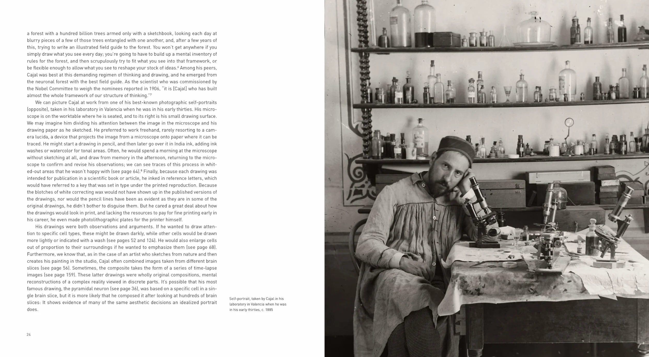 The Beautiful Brain: The Drawings of Santiago Ramón y Cajal