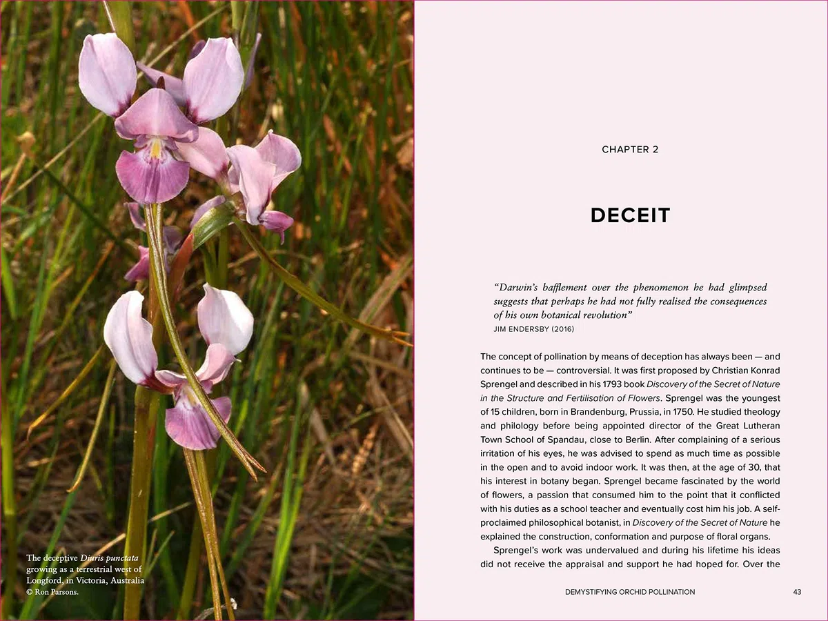 Demystifying Orchid Pollination: Stories of sex, lies and obsession