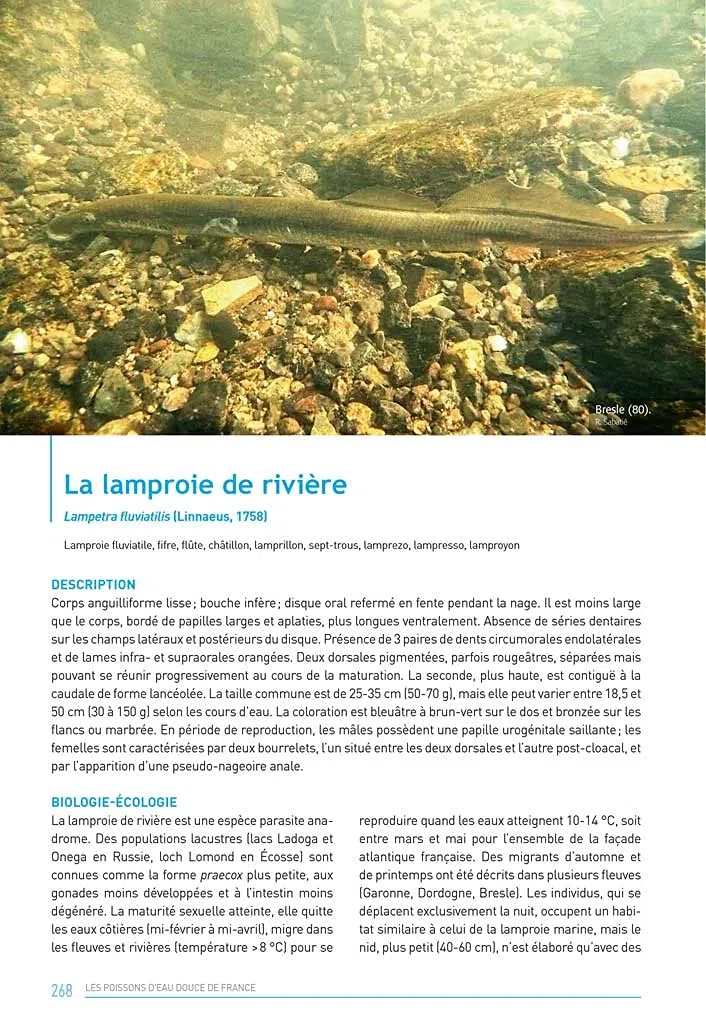 Les poissons d'eau douce de France