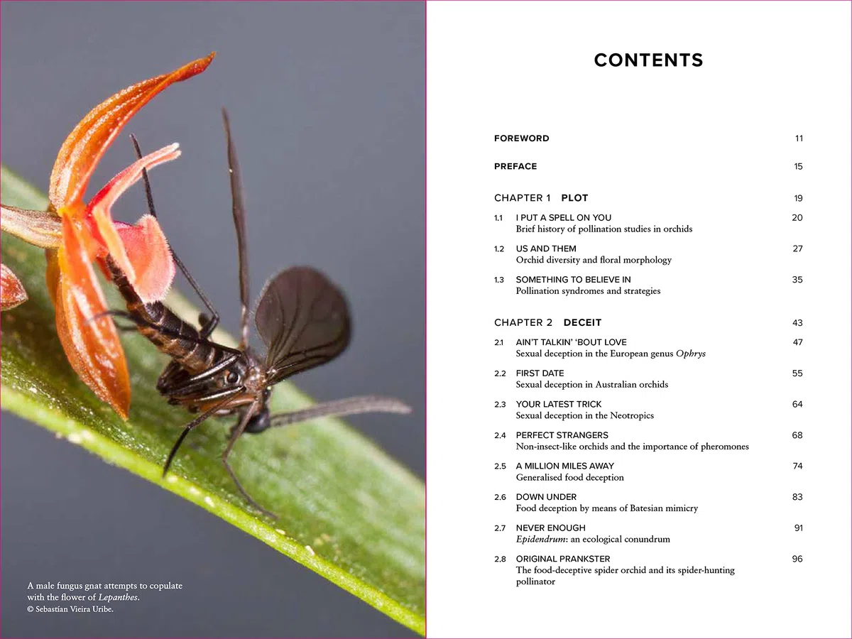 Demystifying Orchid Pollination: Stories of sex, lies and obsession