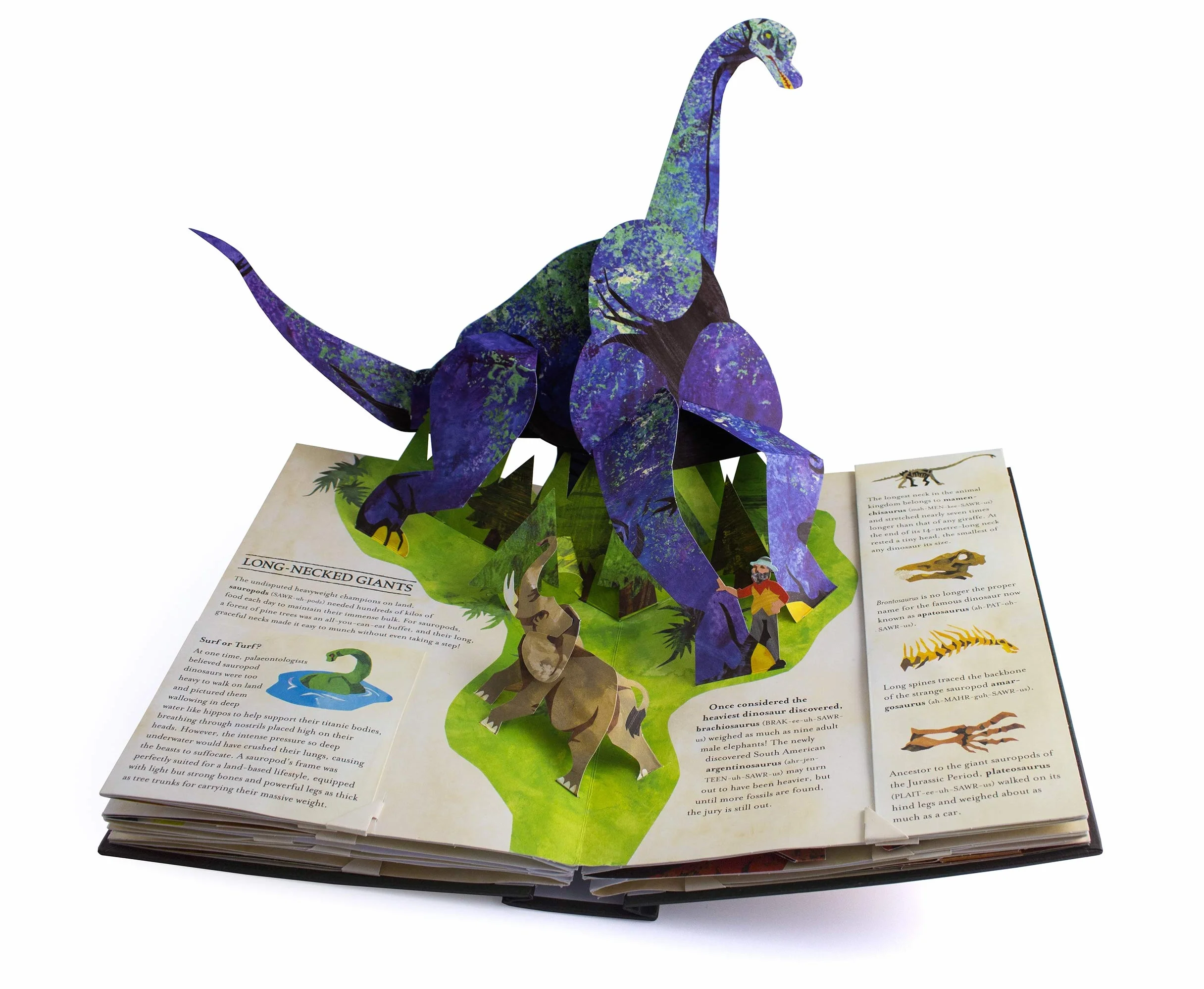 Encyclopedia Prehistorica Dinosaurs: The Definitive Pop-Up: The incredible 3D pop-up guide to T-Rex, triceratops and much more, in the ultimate gift for all ages
