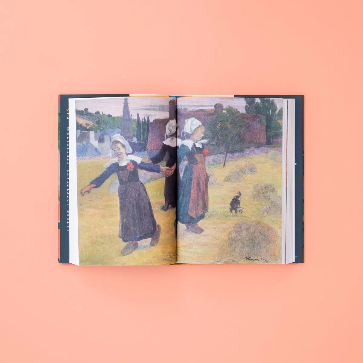 Wild Thing: A Life of Paul Gauguin (Faber & Faber)