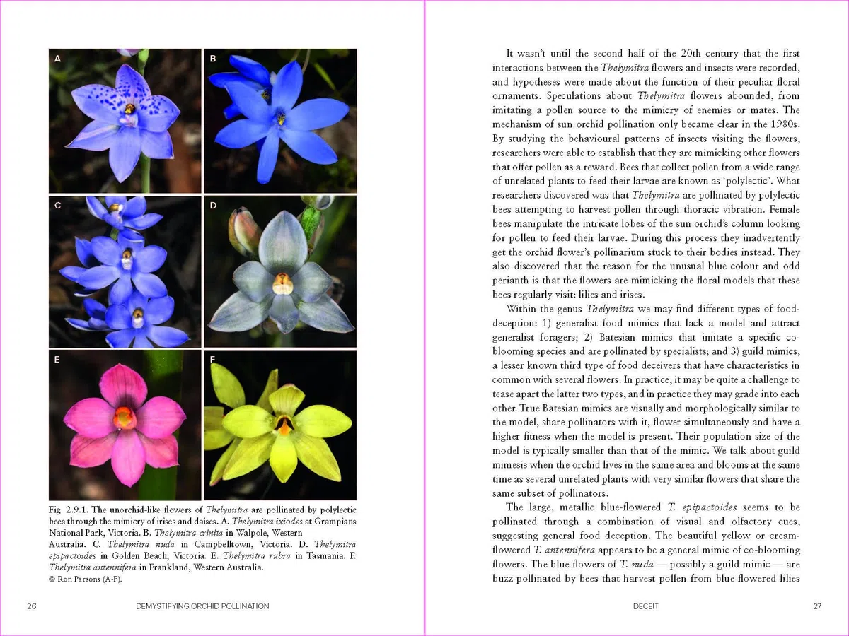 Demystifying Orchid Pollination: Stories of sex, lies and obsession
