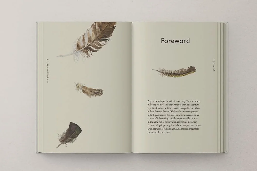 The Book of Birds: The #1 Sunday Times bestseller from the authors of award-winning phenomenon The Lost Words