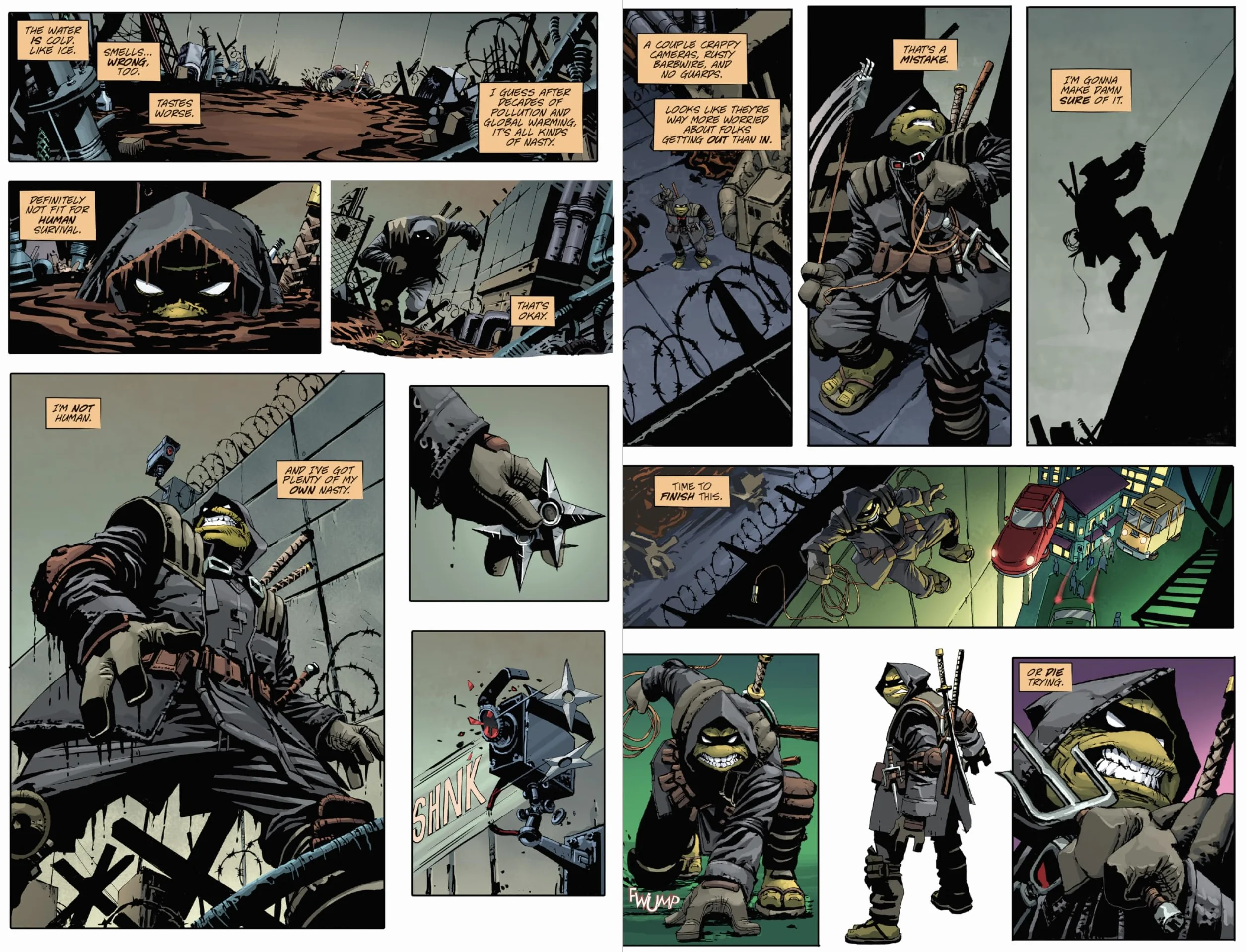 Teenage Mutant Ninja Turtles: The Last Ronin