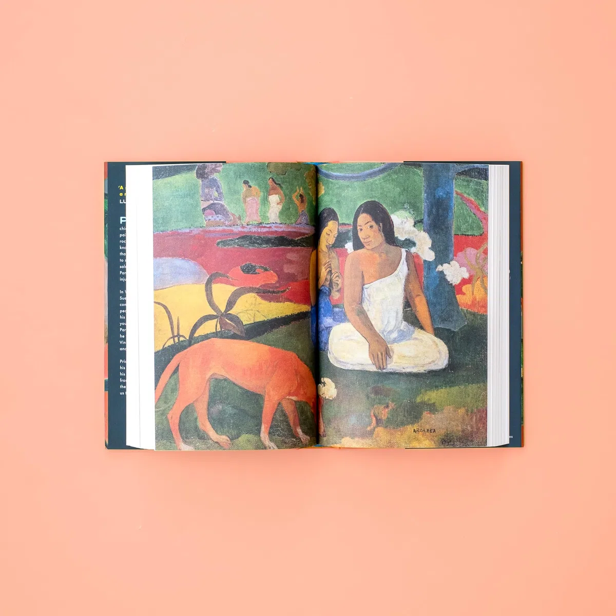 Wild Thing: A Life of Paul Gauguin (Faber & Faber)