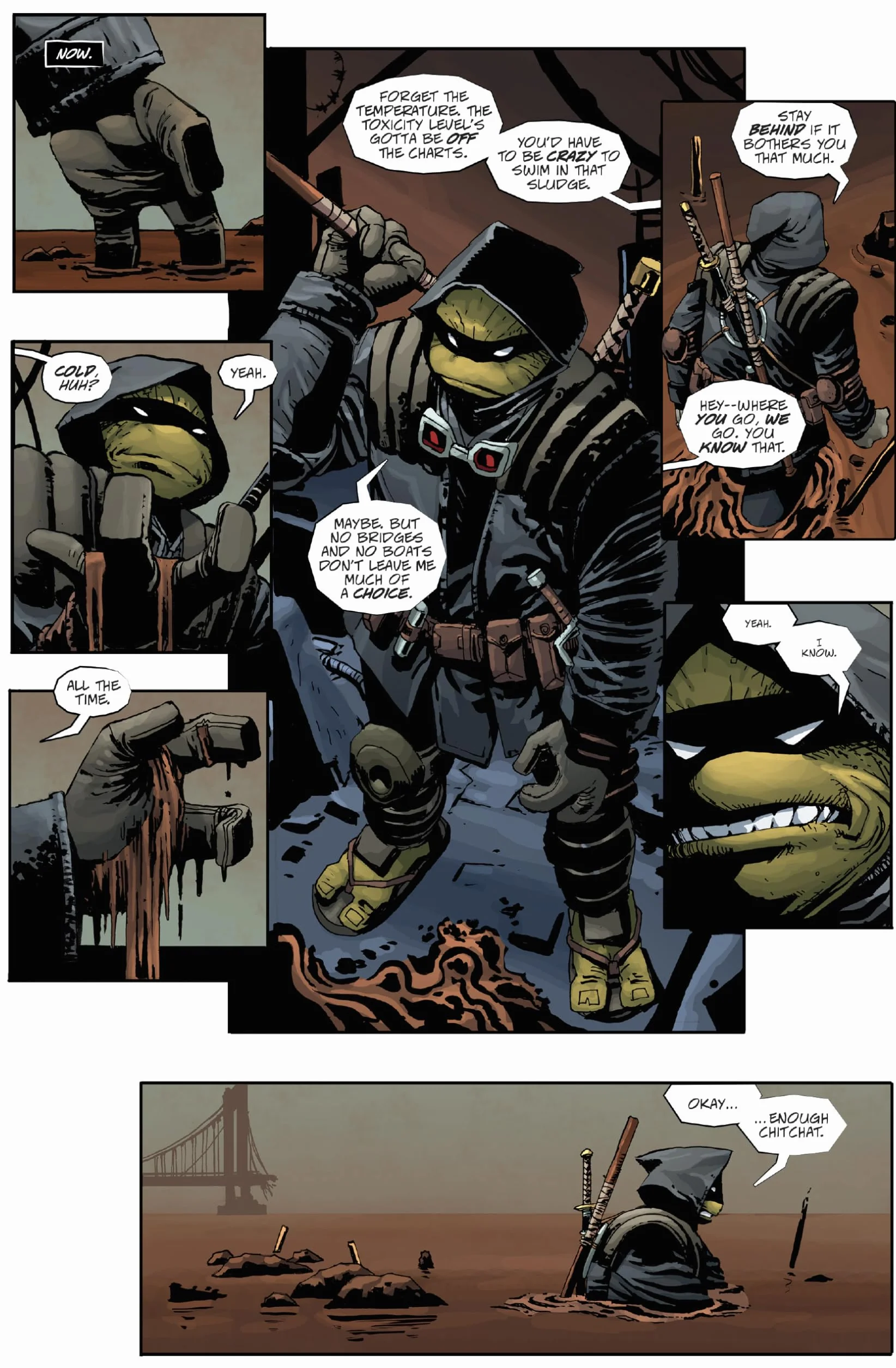 Teenage Mutant Ninja Turtles: The Last Ronin